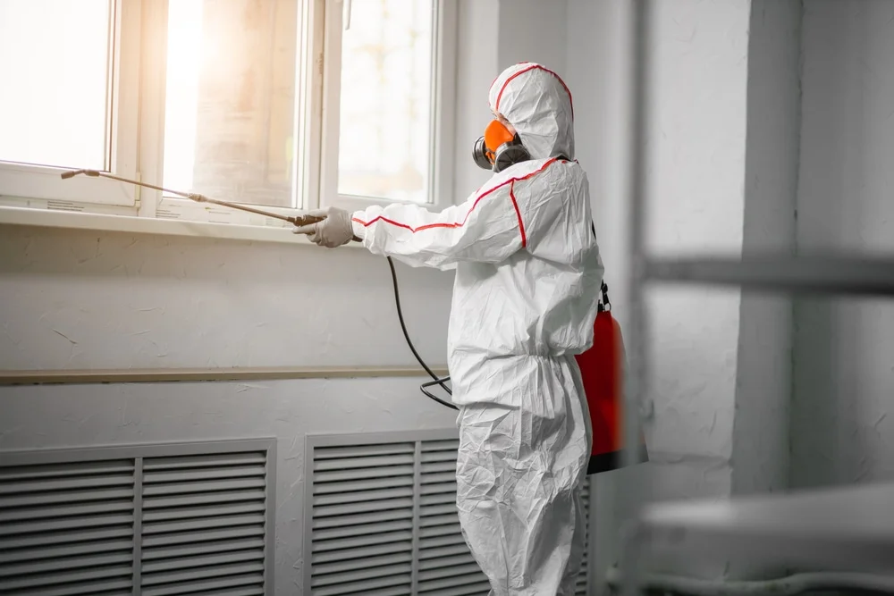 Professional mold remediation services in Canaan, NH